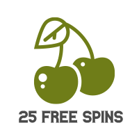 25 Gratis Spins Bonus Zonder Storting